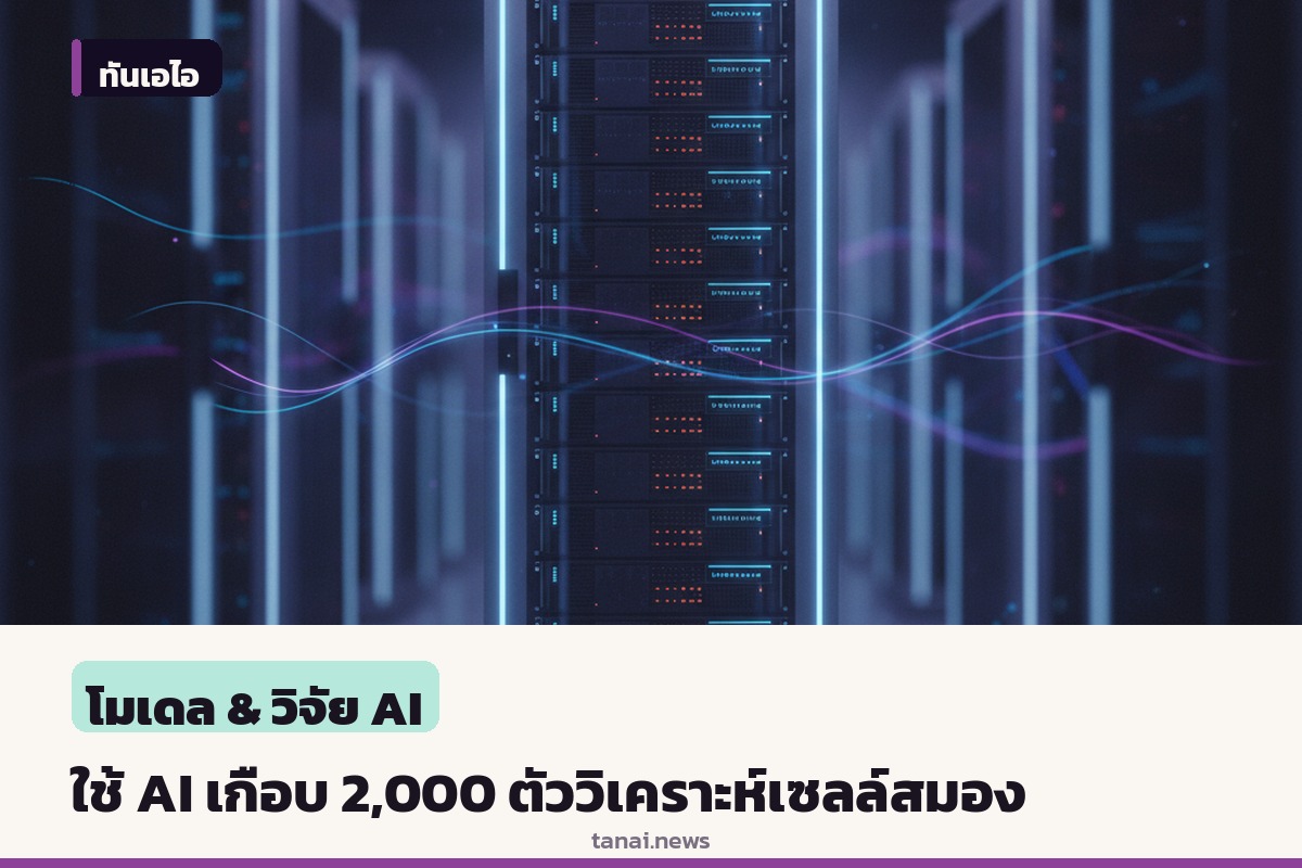 OpenAI ร่วมมือสถาบันวิจัย ใช้เอเจนต์ AI เกือบ 2,000 ตัววิเคราะห์ข้อมูลเซลล์สมอง