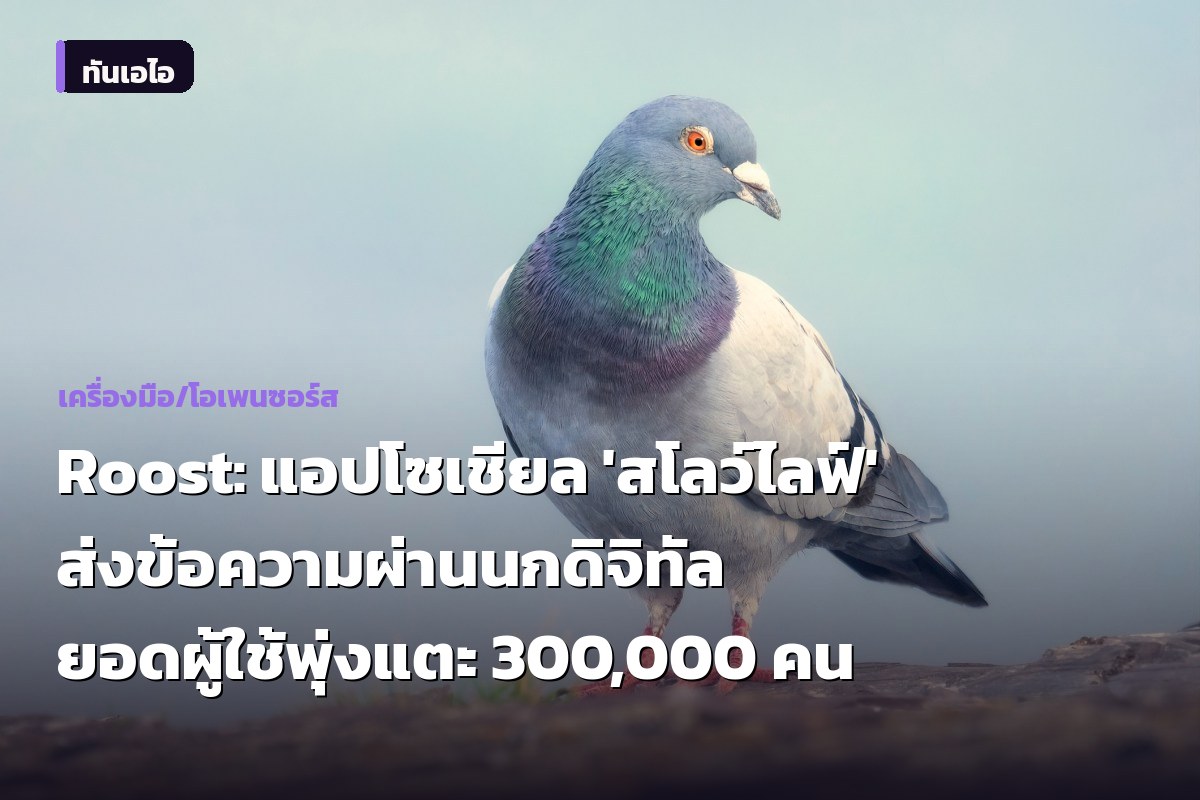 Roost: แอปโซเชียล 'สโลว์ไลฟ์' ส่งข้อความผ่านนกดิจิทัล ยอดผู้ใช้พุ่งแตะ 300,000 คน
